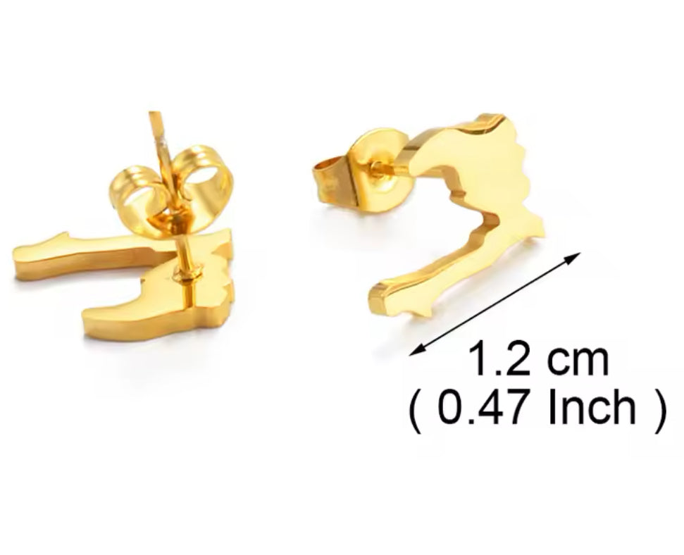 Petite boucle d’oreille carte Haïti